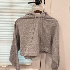 Alo Cropped Hoodie
